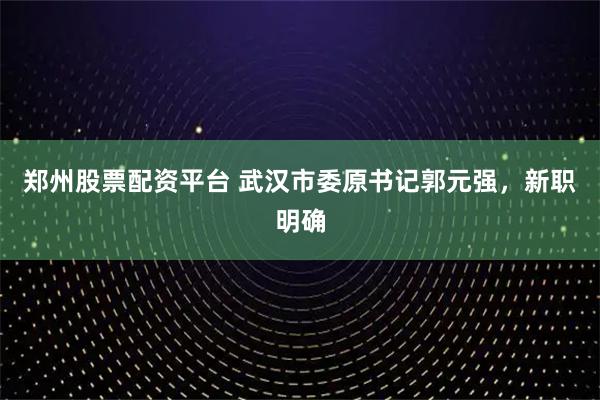 郑州股票配资平台 武汉市委原书记郭元强，新职明确